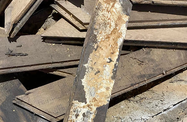 m&eacute;rule sur parquet en bois