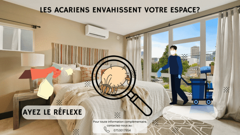Acariens sur un lit