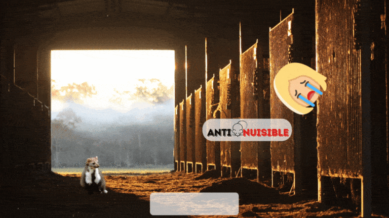 Un probl&egrave;me de fouine ? Vite, Anti-Nuisible !