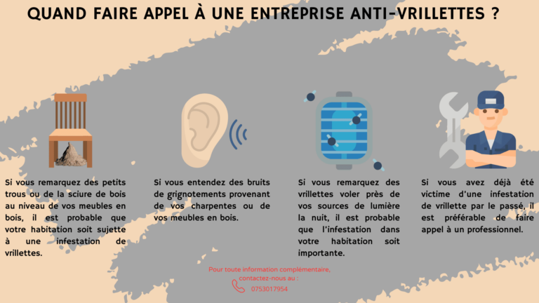 D&eacute;couvrez quand il devient judicieux de faire appel &agrave; un professionnel pour lutter contre une infestation de vrillettes.