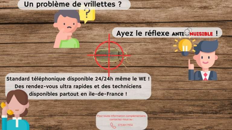 En cas de vrillettes, ayez le r&eacute;flexe Anti Nuisible