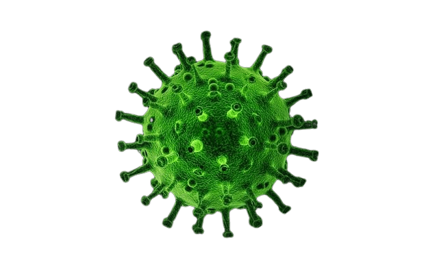 virus-4958150_640-removebg-preview