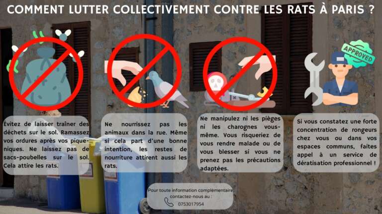 Comment lutter collectivement contre les rats &agrave; Paris ?