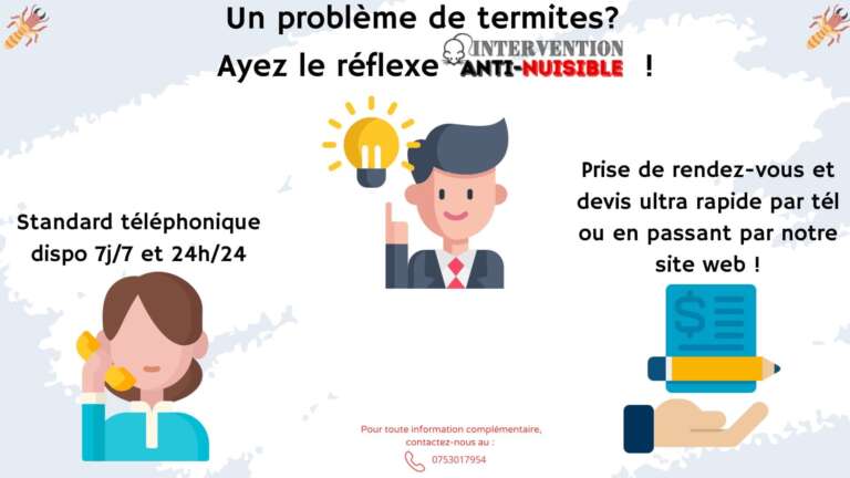 Un probl&egrave;me de termites, ayez le r&eacute;flexe Anti Nuisible