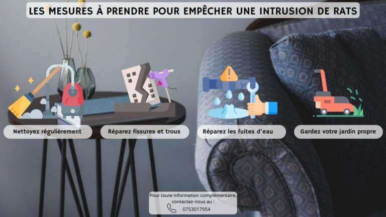 Comment emp&ecirc;cher une intrusion de rats ?