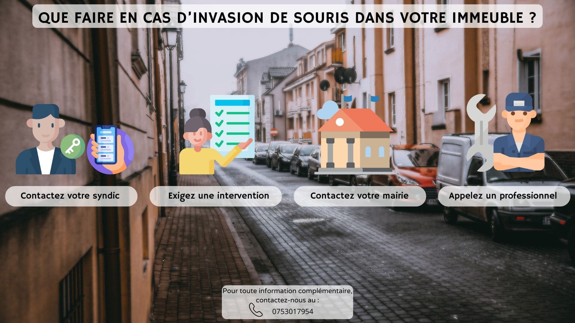 Que faire en cas d'invasion de souris ?