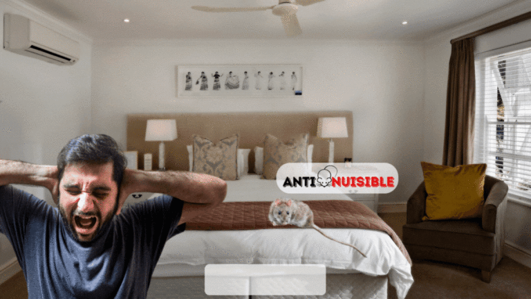 Un probl&egrave;me de rats ? Vite Anti-Nuisible !