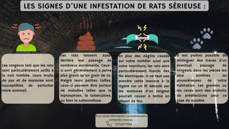dératiseur en urgence