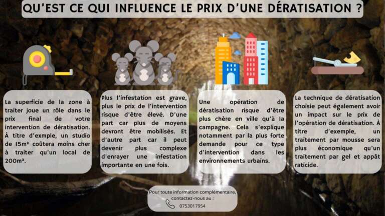 Qu'est ce qui influence le prix d'une d&eacute;ratisation ?