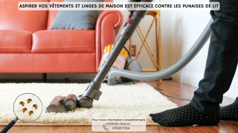 Pensez &agrave; aspirer vos v&ecirc;tements pour vous d&eacute;barrasser des punaises de lit !
