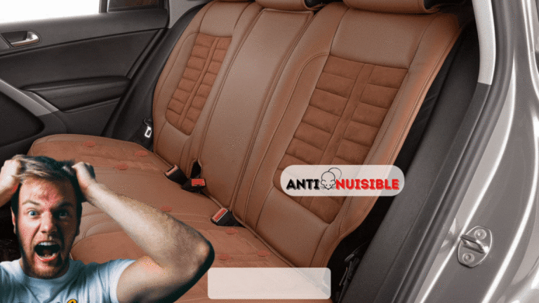 Vous avez des punaises dans votre voiture ? Vite, Anti-Nuisible !