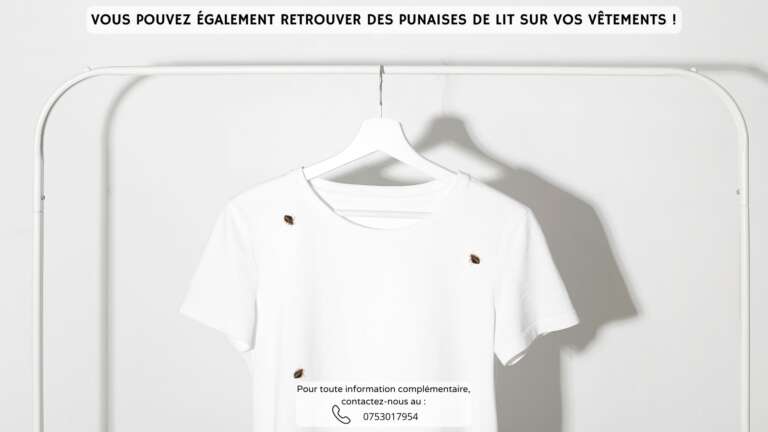 Punaises de lit v&ecirc;tement