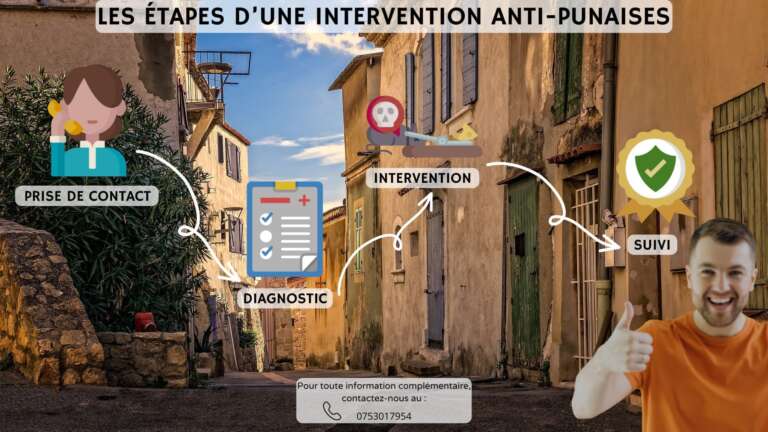 Les &eacute;tapes d'une intervention anti-punaises