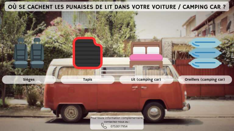 O&ugrave; se cachent les punaises de lit dans votre voiture / camping car ?