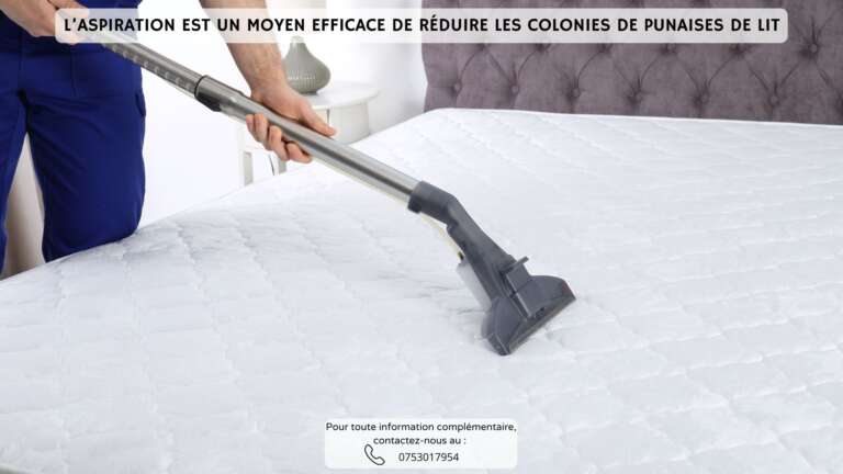 Aspirer votre matelas est une m&eacute;thode efficace de r&eacute;duire le nombre de punaises de lit