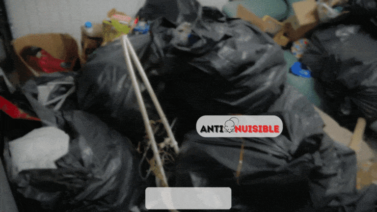 Besoin de remettre de l'ordre dans lBesoin de remettre de l'ordre dans le logement d'un proche d&eacute;c&eacute;d&eacute; ? Anti-Nuisible est la solution qu'il vous faute logement d'un proche d&eacute;c&eacute;d&eacute; ? Anti-Nuisibl est la solution qu'il vous faut