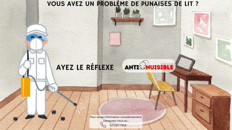 Un probl&egrave;me de punaises de lit ? Vite, Anti-Nuisible !