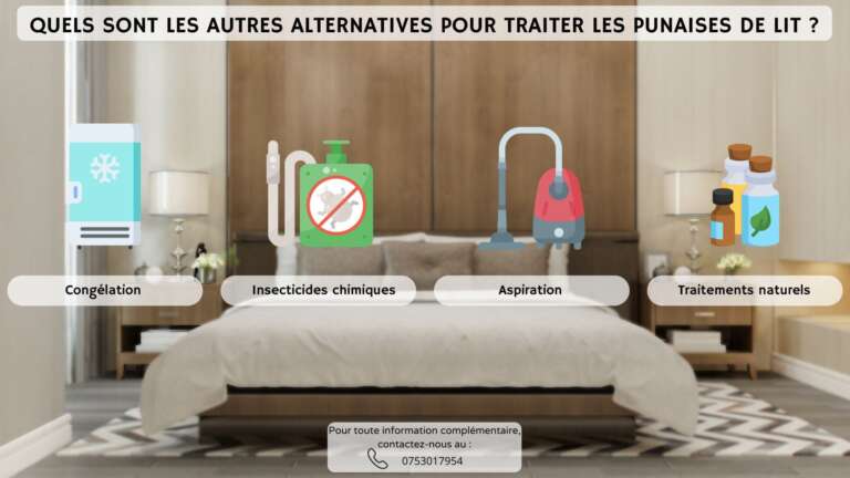 Quels sont les traitements alternatifs contre les punaises de lit?
