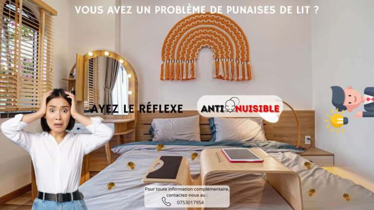 Un probl&egrave;me de punaises ? Vite, Anti-Nuisible