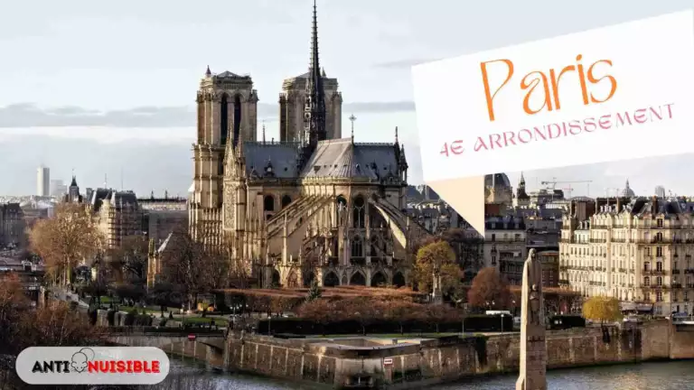Punaise de lit paris 4