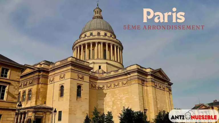 Punaise de lit paris 5