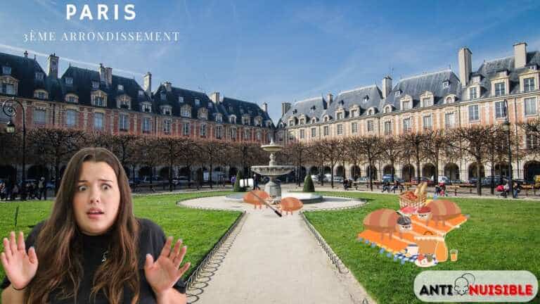 Punaises de lit Paris 3 Place des Vosges