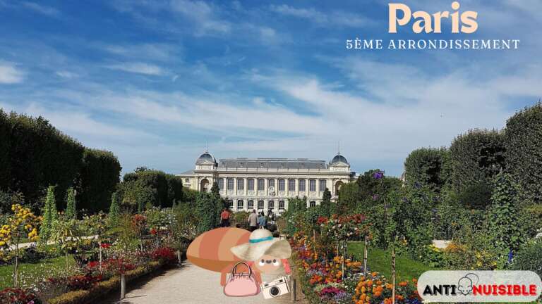 Punaises de lit Paris 5, pr&eacute;sence d'insecte