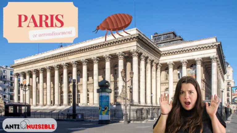 Punaises Paris 2 Palais Brongniart