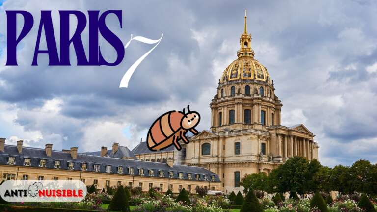 Punaises de lit Paris 7 Les Invalides