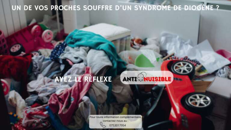Un de vos proches souffre d'un syndrome de Diog&egrave;ne ? Vite, Anti-Nuisible !