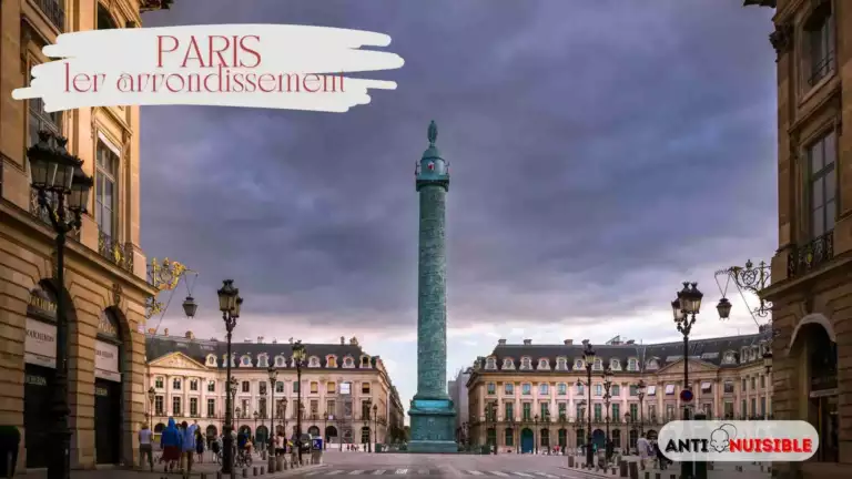 Punaises de lit Paris 1