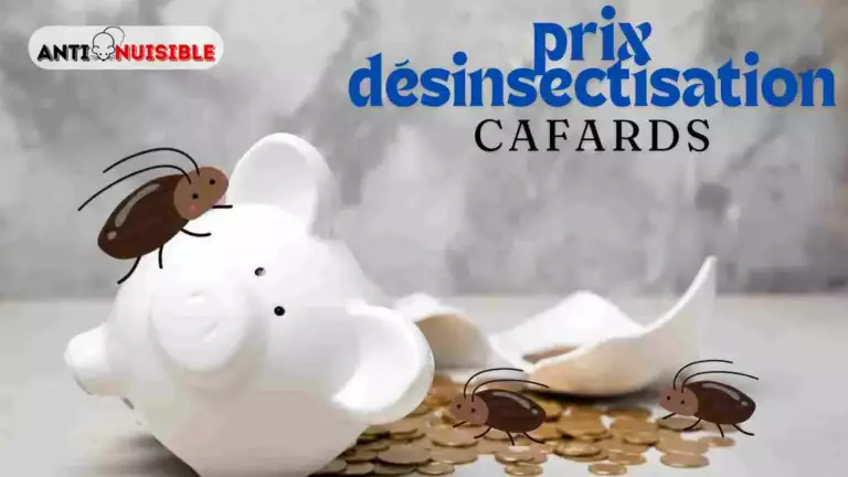 Prix d&eacute;sinsectisation cafards