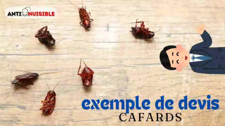 Prix d&eacute;sinsectisation cafards - Devis