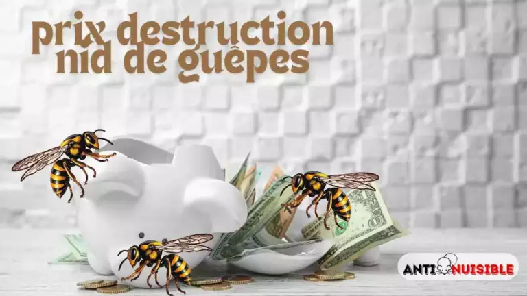 Tarif destruction nid de gu&ecirc;pes