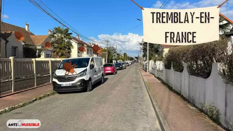 Tremblay-en-France:Avenue Franklin