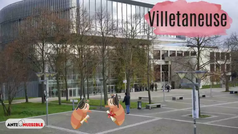 Villetaneuse Universit&eacute;