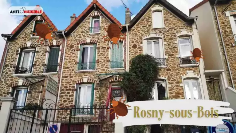 Immobilier &agrave; Rosny-sous-Bois