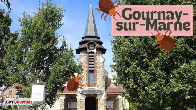 &Eacute;glise Saint-Arnoult de Gournay-sur-Marne