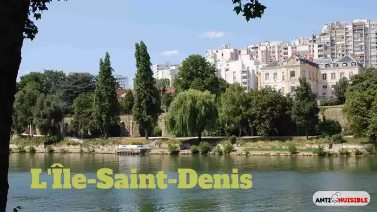 Punaises de lit L'&Icirc;le-Saint-Denis