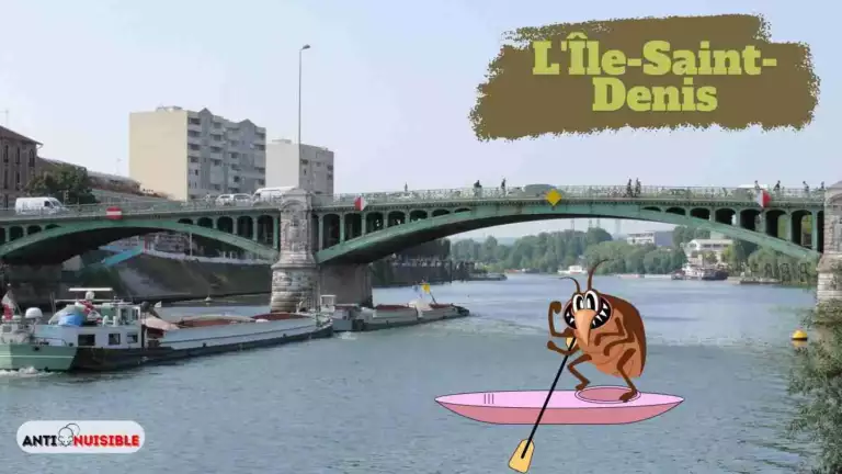 Pont &Icirc;le Saint Denis Ouest