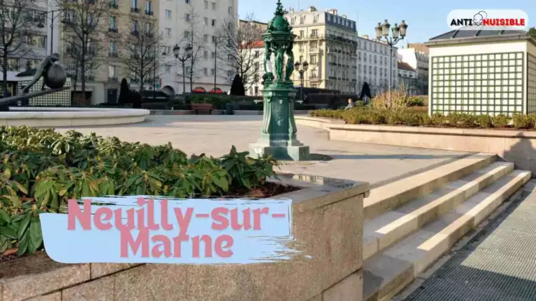 Punaises de lit &agrave; Neuilly-sur-Marne