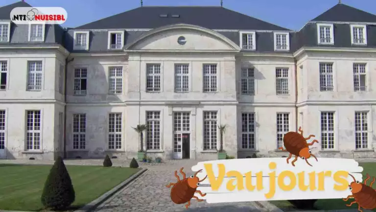 L'ancien ch&acirc;teau de Vaujours