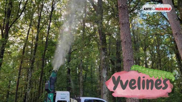 Tra&icirc;tement contre les chenilles processionnaires