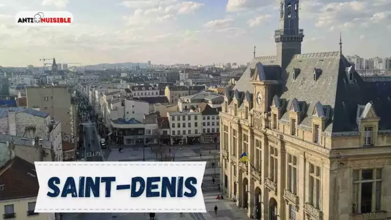 Punaises de lit &agrave; Saint-Denis 93