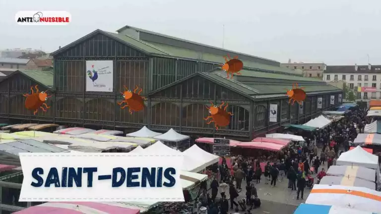 March&eacute; de Saint-Denis