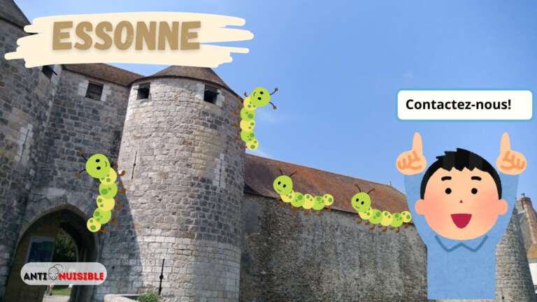 Ch&acirc;teau de Dourdan avec des chenilles