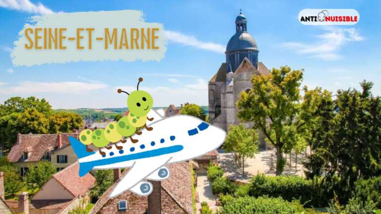 Soutien pour &eacute;radiquer les chenilles processionnaires partout dans le Seine-et-Marne !