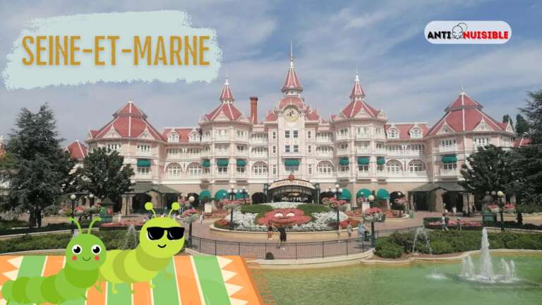 chenille processionnaire &agrave; Disneyland Paris