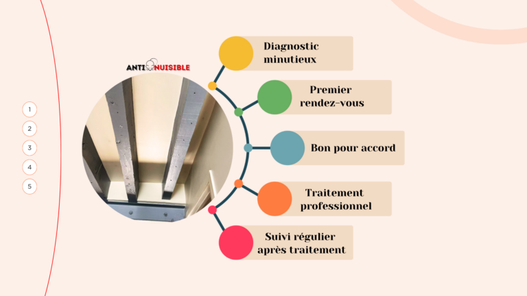 diagnostic contre les insectes xylophages